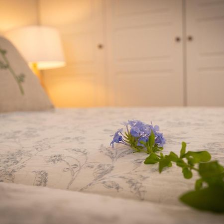 Beach Villa Aetos Kaminaki Nissaki Νησάκι Εξωτερικό φωτογραφία